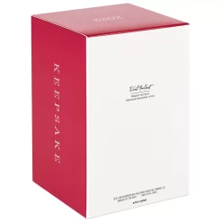 Star Wars: The Mandalorian A Jedi Returns 2022 Hallmark Keepsake Christmas Ornament -Outlet Christmas Store 5825990 ALT3