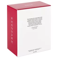 Angel of Light 2022 Hallmark Keepsake Christmas Ornament -Outlet Christmas Store 5826120 ALT3